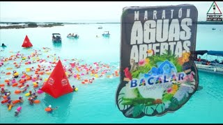 Maratón de aguas abiertas Bacalar 2024 [upl. by Idnor475]