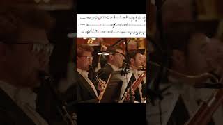 Elgar Symphony No 1 – Movement 2 Excerpt [upl. by Enaamuj]