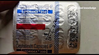 Sporidex 250 Capsules Uses amp Side Effects  Cephalexin All Details sporidex sporidex 250 price [upl. by Burnaby]