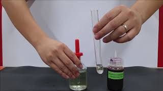 QA Lab Practical – Oxidising amp Reducing Agents – Test for Reducing Agent with KMnO4 [upl. by Tadd]