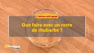 Que faire avec un reste de rhubarbe   La Quotidienne la suite [upl. by Inga]