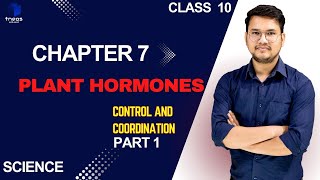 Plant Hormone CHAPTER 7 Control and Coordination PART 1 [upl. by Perry]