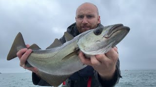 Pollock Fishing in challenging conditions The Maidens Larne [upl. by Pascia]