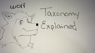 Taxonomy Explained [upl. by Mikal]