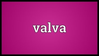 Valva Meaning [upl. by Edrahs]