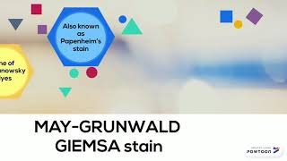 MayGrunwald Giemsa amp Diff Quik Stain in Cytology 2018 [upl. by Hales]