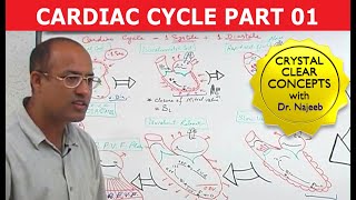 Cardiac Cycle  Systole amp Diastole  Dr Najeeb Part 18 [upl. by Gelya826]