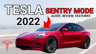 Tesla Sentry Mode Review 2022 [upl. by Alesi]