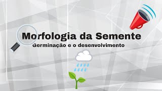 Morfologia da Semente [upl. by Kopp432]