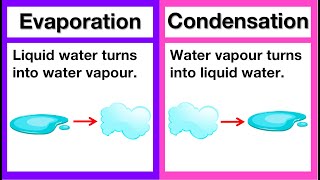 Evaporation vs Condensation 🤔  Whats the difference  Examples of evaporation and condensation [upl. by Shaum]