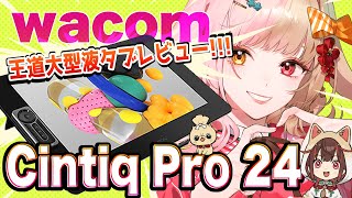 【Wacom Cintiq Pro 24】Cintiq Pro 27は高い…！ならこっちを買えばいいじゃない！【レビュー】 [upl. by Ahsikahs]