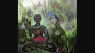 Terence McKenna  DMT amp Ayahuasca Experience [upl. by Amolap]