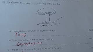 Biology paper 1 Quick revision Questions and Answers ❤️milkahwambui6693 [upl. by Krisha50]