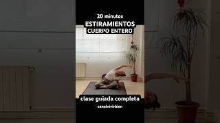 ESTIRAMIENTOS CUERPO ENTERO 🧘🏽‍♀️ 20 minutos rutina ejercicioencasa estiramientos estiramiento [upl. by Hertha252]