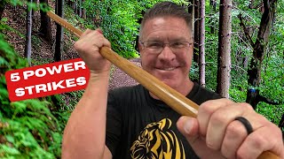 5 Walking Stick Self Defense Techniques With The Jo Martial Arts Staff [upl. by Durwyn580]