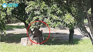 Foto Viral de la Aparición de Jesús a un Policia en Colombia [upl. by On]