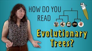 How do you read Evolutionary Trees [upl. by Togram]