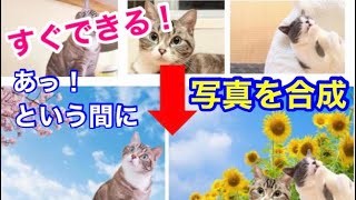 超簡単！写真の切り抜きや不要な箇所を削除できる！初心者でもあっという間に完成！【全て無料で可能】 [upl. by Iznyl]