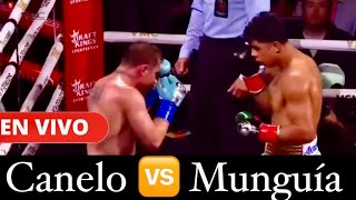 CANELO VS MUNGUÍA REACCIONES INSTANTÁNEAS DEL COMBATE canelomunguia [upl. by Bonnette]