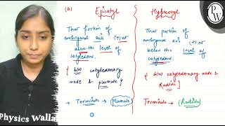 Differentiate between a hypocotyl and epicotyl b coleoptile and coleorrhiza c integumen [upl. by Esikram]