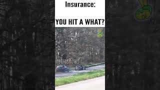 Insurance Companies Be Like [upl. by Schober]