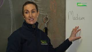 Equine Digestion amp Nutrition with Crea English  Farm Walk And Talk [upl. by Hanny528]