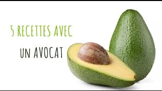 5 recettes avec de l’avocat [upl. by Tamqrah]