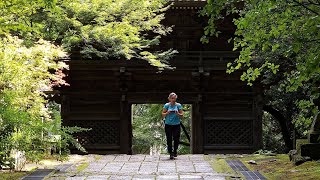 Backpacking Along Japans Shikoku Pilgrimage Trail Hiking An Ancient Buddhist Path [upl. by Daphne]