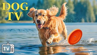 🔴 DOG TV Unlock Peace for Your Pup With Video Entertaining for Dog  AnxietyReducing Dog Music [upl. by Gaynor199]