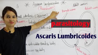 Ascaris Lumbricoides in hindi  Parasitology By Manisha Maam [upl. by Ahsauqal]