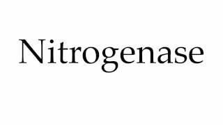 How to Pronounce Nitrogenase [upl. by Shenan154]