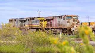 Rio Tinto Empty iron ore service Dampier 19072024 [upl. by Eidda292]