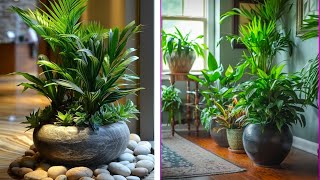 Home decor ideas with plants [upl. by Barbara854]