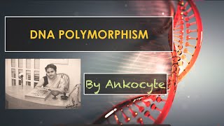 DNA Polymorphisms and its classifications [upl. by Annelg]