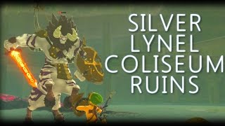 Coliseum Ruins Silver Lynel Mini Boss Fight  BOTW [upl. by Rramed]