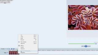 Windows movie maker flash effect tutorial [upl. by Davena]