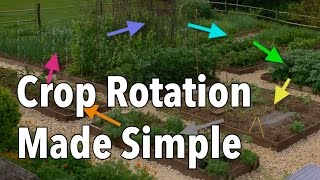 Crop Rotation Made Simple  Rotate Your Vegetable Beds for Healthier Produce [upl. by Marvella]