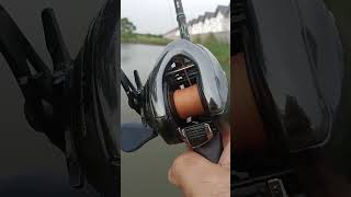 Antares DC MD Monster Drive fishingvideo shimanocuradodc shimanoslxdc shimanoreels shot shots [upl. by Stiruc]