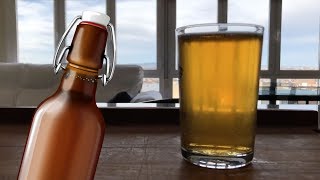 CLARIFICAR CERVEZA ARTESANAL con gelatina 🍺 [upl. by Ahsok]