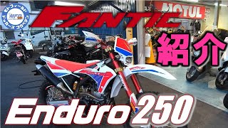 ファンティック エンデューロ 250 FANTIC Enduro250 紹介始動＆サウンドチェック 【MFD神戸店取扱いバイク紹介】 [upl. by Sekofski]