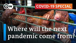 Zoonotic diseases Can we prevent the next pandemic  Covid19 Special [upl. by Oad]