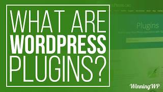 What Are WordPress Plugins  And How To Use Them [upl. by As]