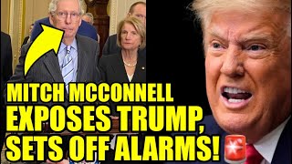 McConnell Goes For TRUMP’S JUGULAR In RARE Public ATTACK [upl. by Delfeena]