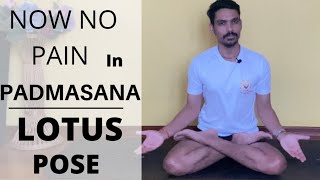 No more pain in padmasana  how to do padmasana  lotus pose step by step step  correction of asana [upl. by Borszcz]