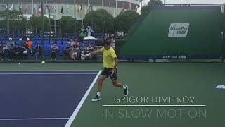 Grigor Dimitrov  Forehand amp Backhand in Slow Motion TENFITMEN Shanghai Masters 2017 [upl. by Kelvin]