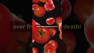 Why Tomatoes Faced Fear The Poison Myth Explained [upl. by Melisent]