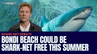 Bondi Beach Could Be SharkNet Free This Summer [upl. by Clova]