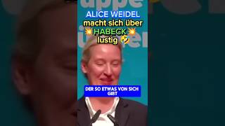 💥DARF man sich über DEN VIZEKANZLER so lustig machen 🤣💥 afd ampel habeck politik weidel bsw [upl. by Janey]