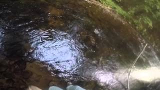 Adirondack Small Stream Fly Fishing [upl. by Wayne]