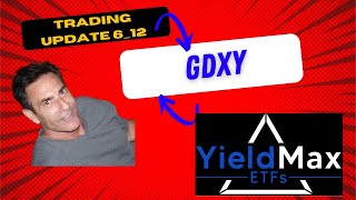 Inside Look at Yieldmaxs GDXY Miners Income ETF Update daily holding and trading analysis [upl. by Iretak739]